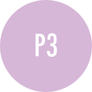 P3